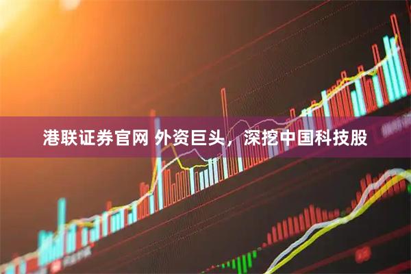 港联证券官网 外资巨头，深挖中国科技股